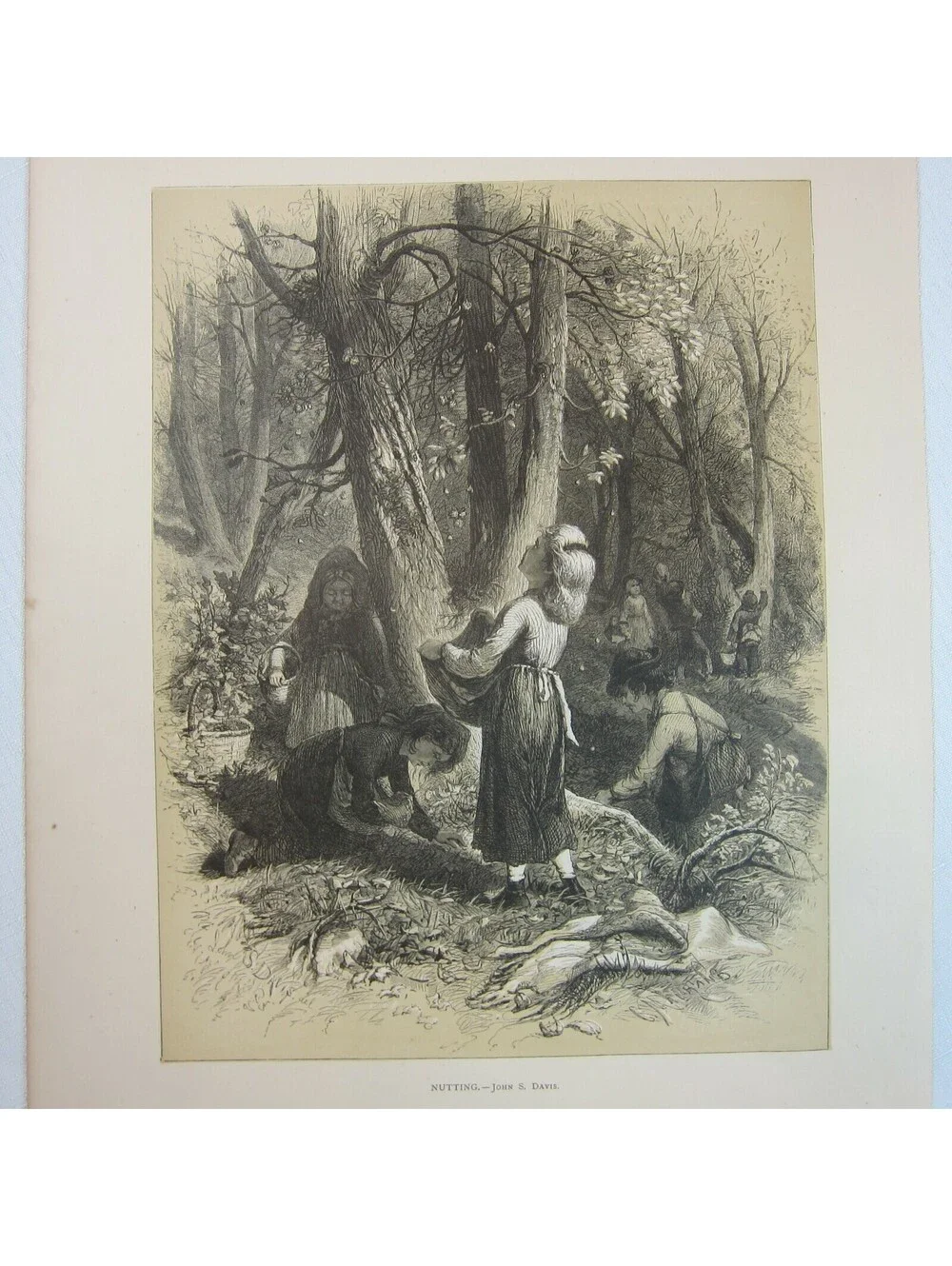 Antique 1873 Wood Engraving Print Nutting by John S. Davis, The Aldine, Children